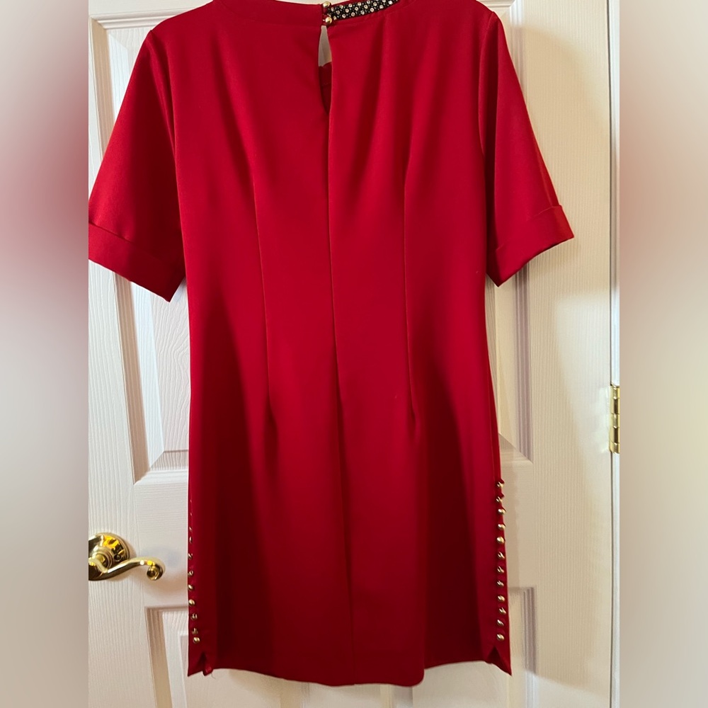 Elegant Red Ruffle Dress - Picture 5 of 5